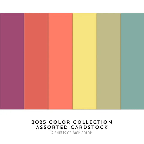 2025 Color Collection ASSORTED Cardstock Pack (6 colors; 2 sheets ea; 12 total)